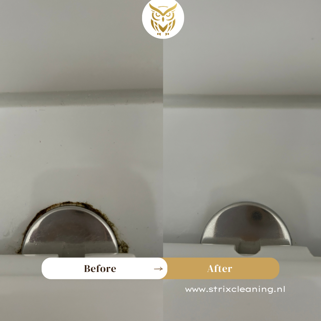 dieptereiniging toilet